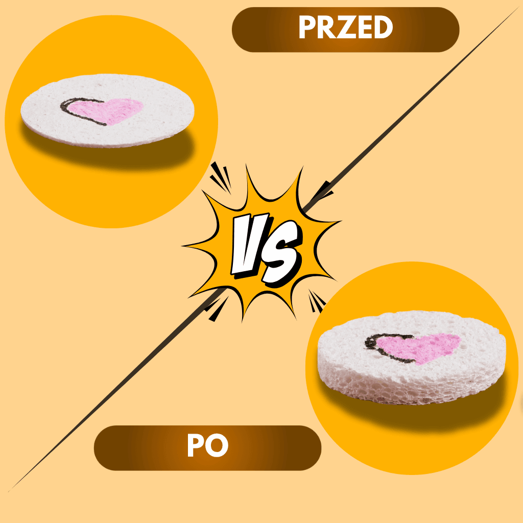 PULCHNIŚ - Magiczny Papier